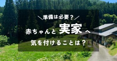 赤ちゃんと実家へ帰省｜実際に行ってみて分かった気を付けることは？