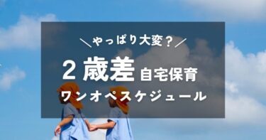 【2人育児】2歳差の兄弟 自宅保育のワンオペスケジュール公開！