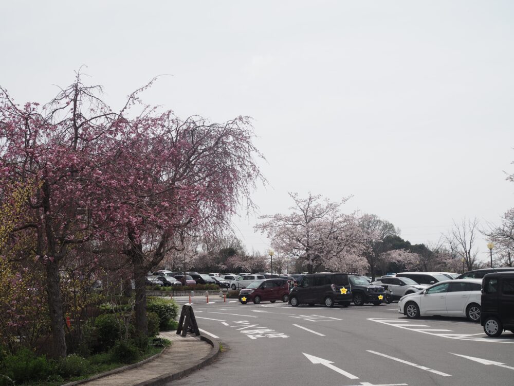 ぎふ清流里山公園｜駐車場