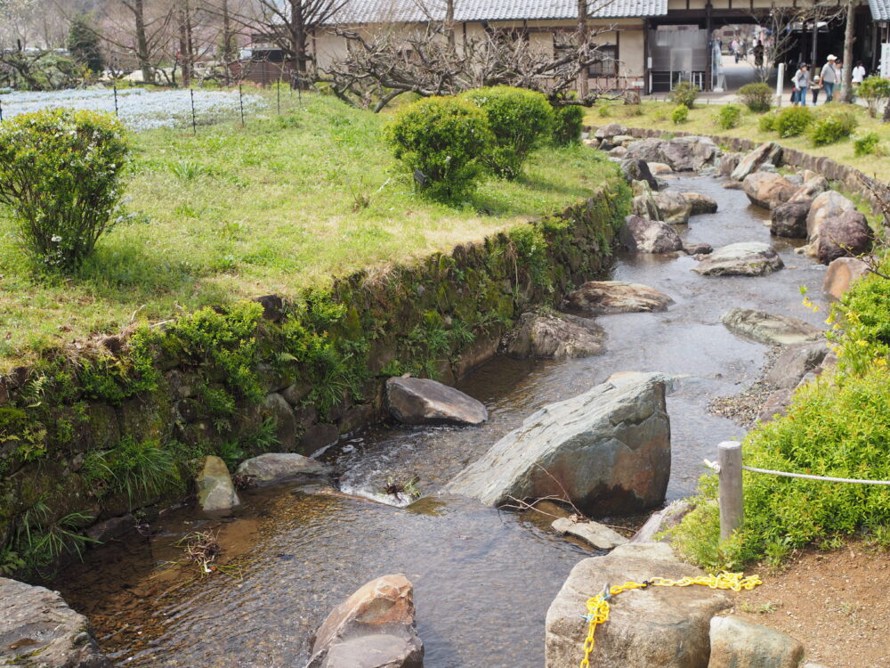 ぎふ清流里山公園｜川の雰囲気