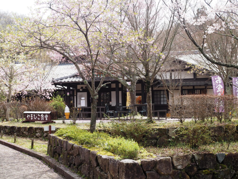 ぎふ清流里山公園｜やまびこ食堂でランチ