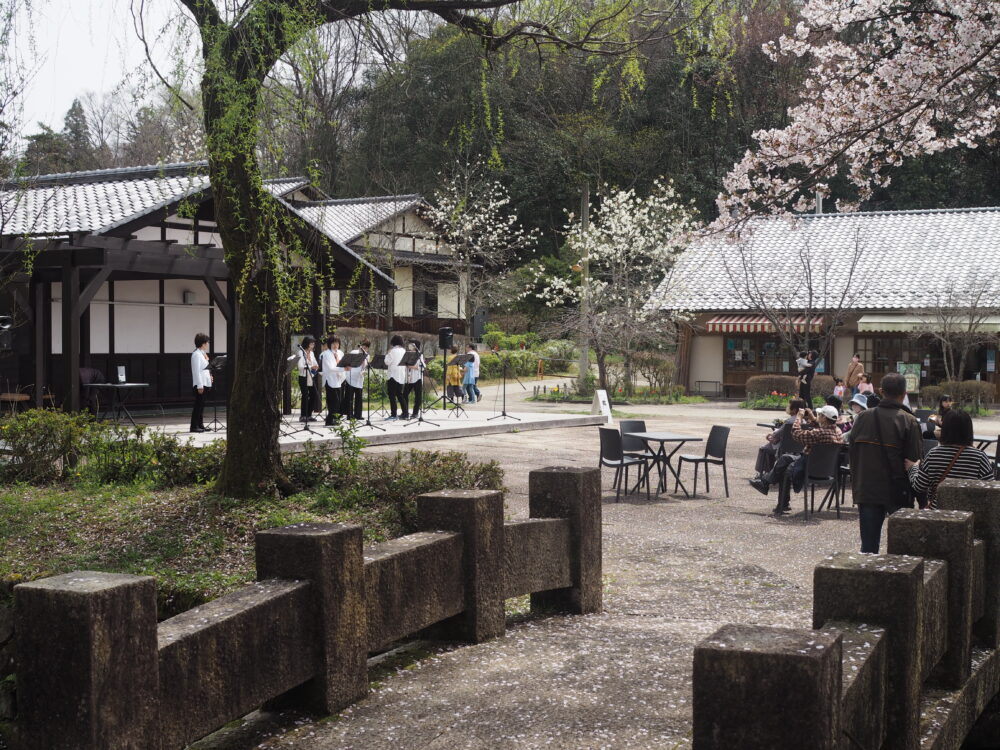 ぎふ清流里山公園｜ステージでの演奏