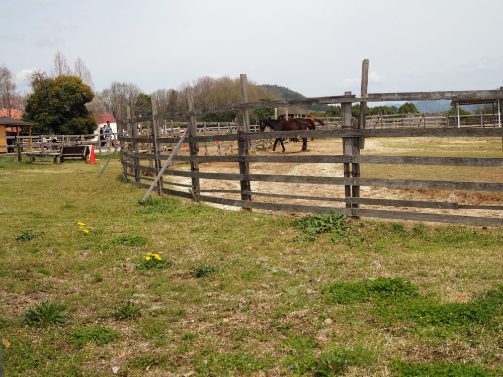 ぎふ清流里山公園｜里山ふれあい牧場