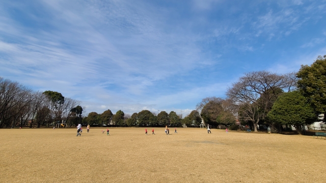 公園・自然