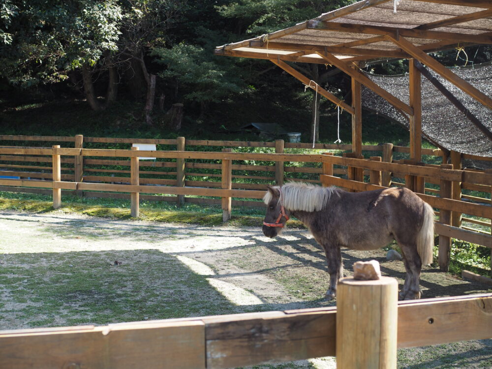 小牧市民四季の森｜ちびっこ動物村